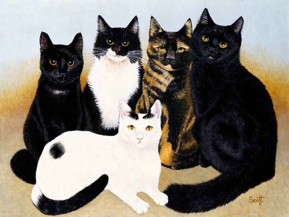 Miss Cox''s Cats  from Pat  Scott