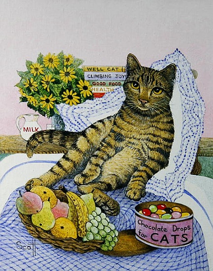 A Purrfect Place from Pat  Scott