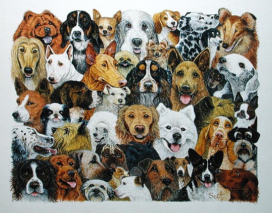 Dog Friends (oil on canvas)  from Pat  Scott
