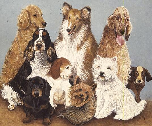 Dogs'' Dinner (oil on canvas)  from Pat  Scott