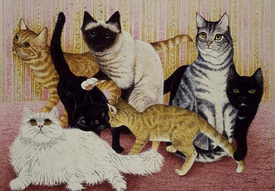 Stephanie''s Cats  from Pat  Scott