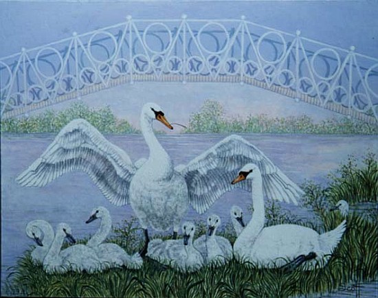 The Family Swan (acrylic)  from Pat  Scott
