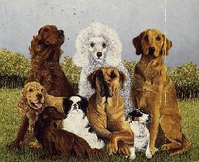 Oliver''s Dogs (oil on canvas) 