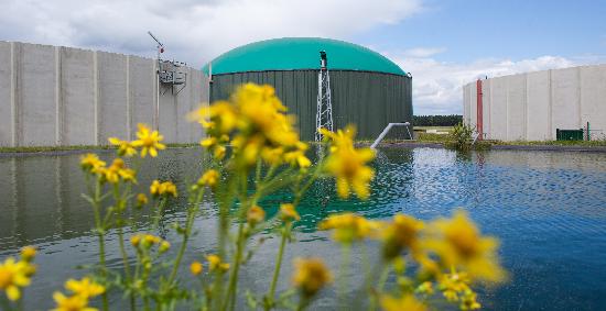 Biogasanlage in Turnow from Patrick Pleul