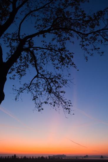 Morgenstimmung in Brandenburg from Patrick Pleul