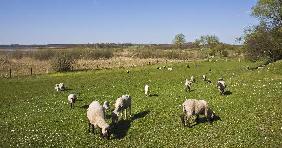 Frühling in der Uckermark