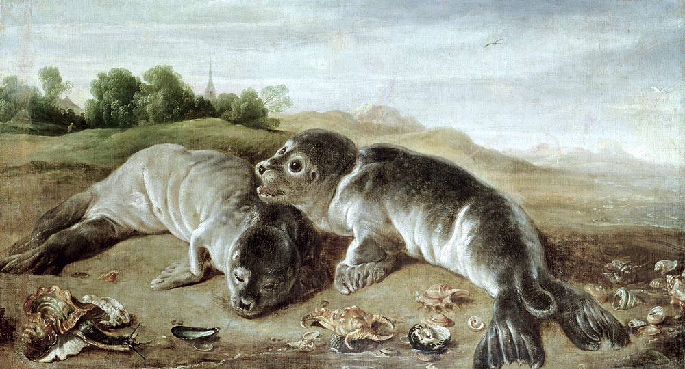 Two Young Seals on the Shore from Paul de Vos