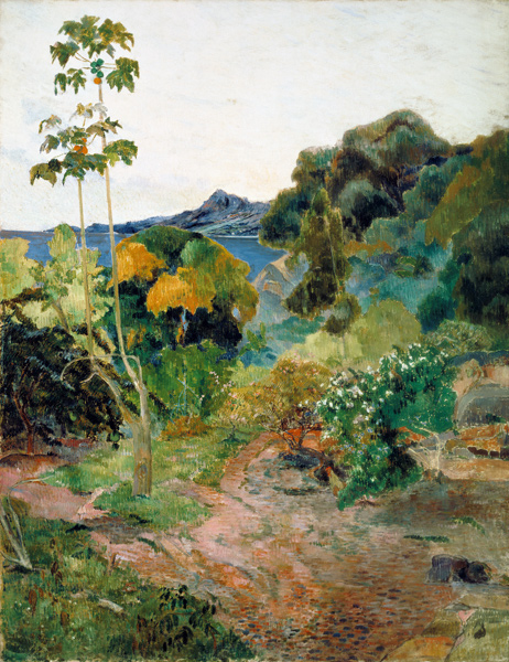 Tropical Vegetation, Martinique from Paul Gauguin