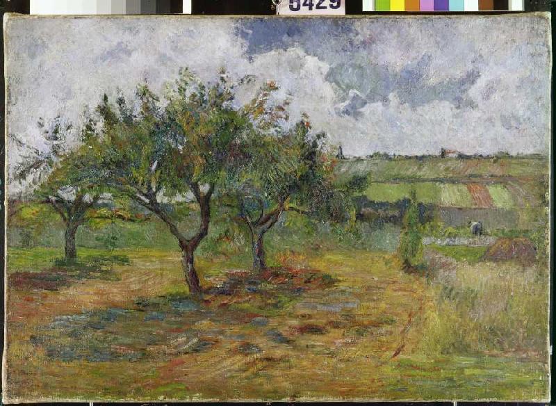 Fields and trees from Paul Gauguin