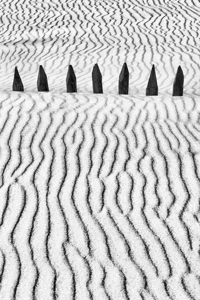 Little Silver Silence from Paulo Abrantes