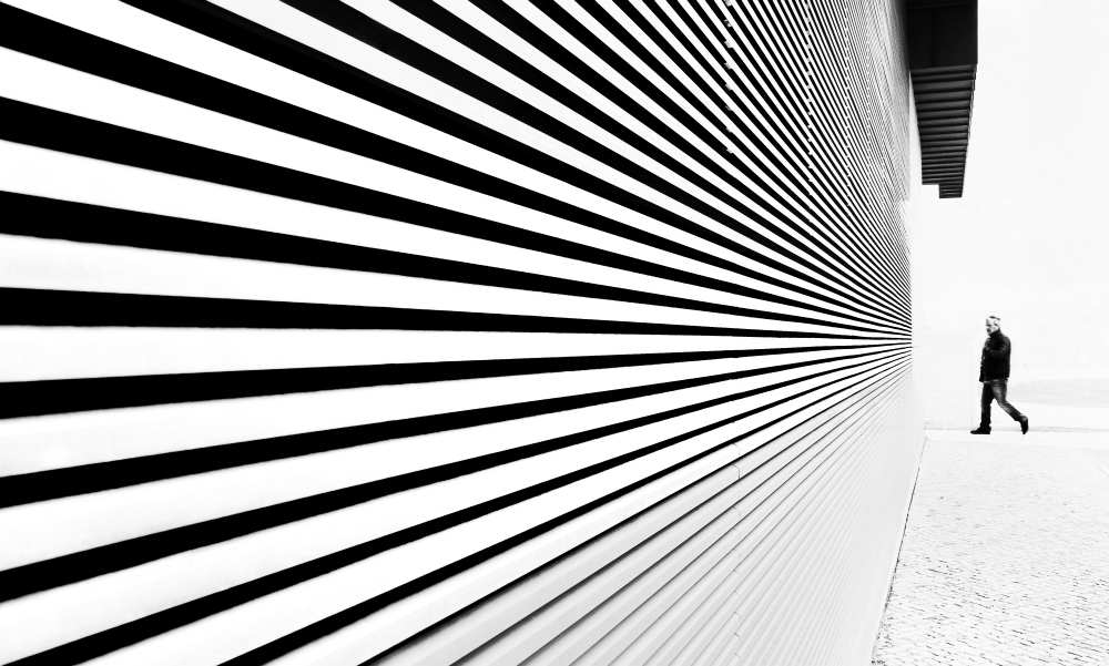 Thingy Wingy from Paulo Abrantes