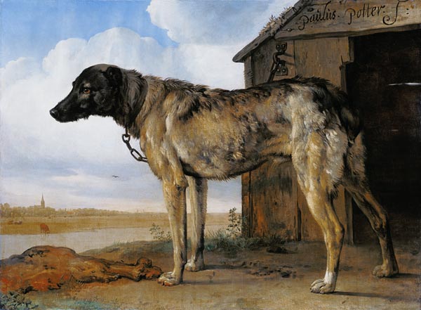 Dog on a Chain from Paulus Potter