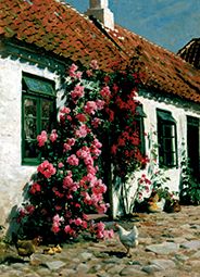 Climbing roses at the farmhouse. from Peder Moensted