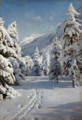 Winter landscape at Morteratsch.