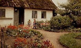 Harvest hour in the flower garden