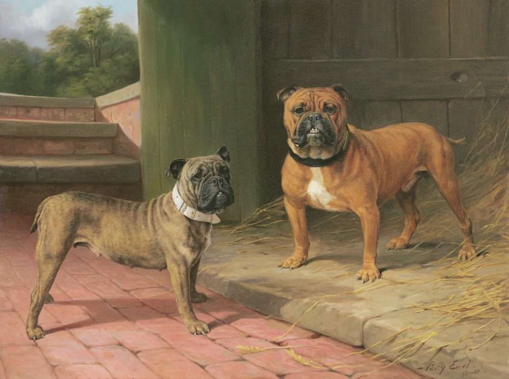 A Red Bulldog and Brindle Bulldog by a Barn from Percy Thomas Earl