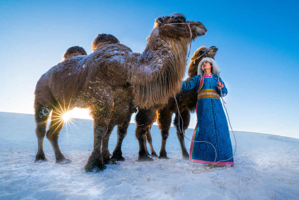 Girl and camels from Petar Sabol