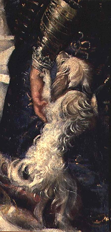 Rampant Puppy from Peter Paul Rubens
