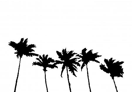 Palms White