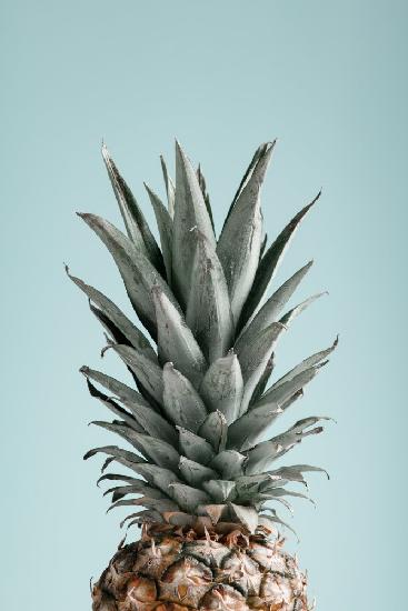 Pineapple Blue 03