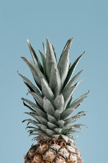 Pineapple Blue 04