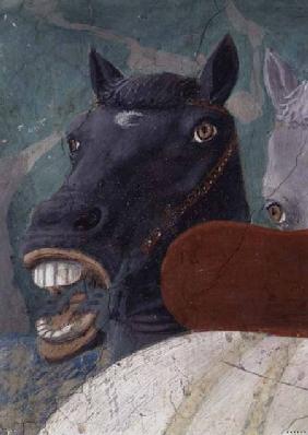 The Legend of the True Cross, the Reception of the Queen of Sheba by King Solomon, detail of a horse