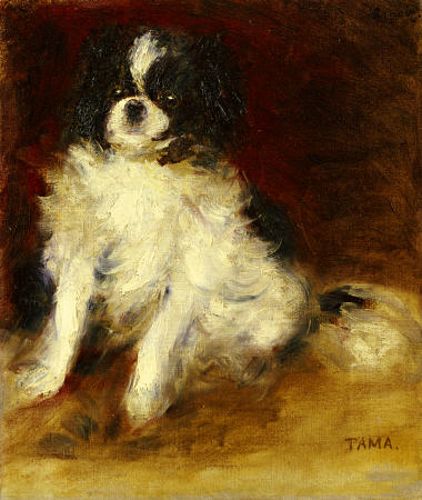 Tama from Pierre-Auguste Renoir