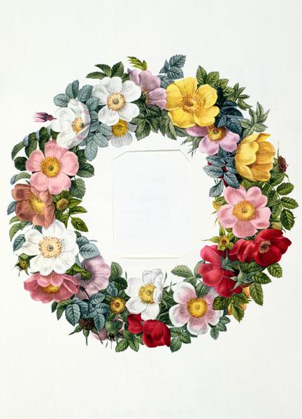 Wreath of Roses, Frontispiece for 'Les Roses'