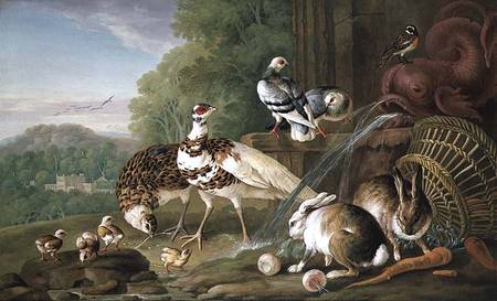 Birds and Rabbits from Pieter Casteels