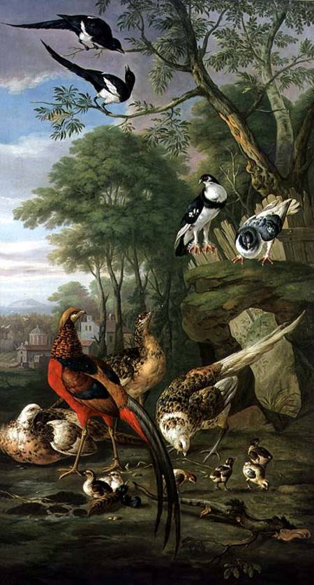 Cock pheasant, hen pheasant and chicks and other birds in a classical landscape from Pieter Casteels