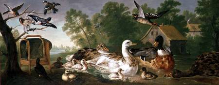 Ducks and Birds in a landscape from Pieter Casteels