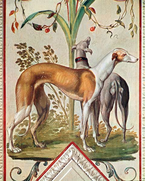 Two Greyhounds from Pietro Rotati
