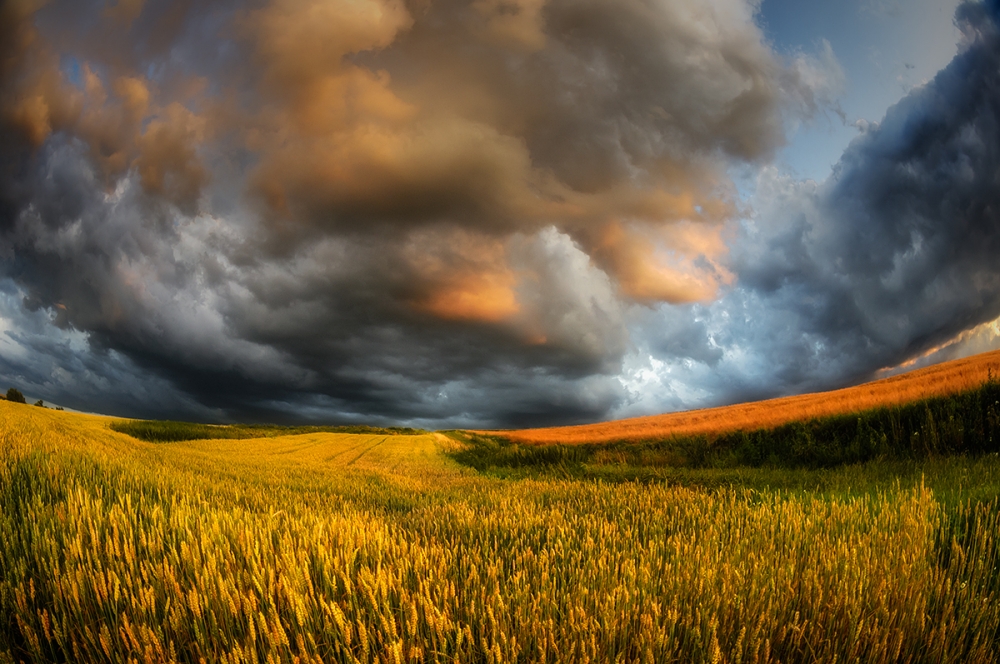 fields of storm from Piotr Krol (Bax)
