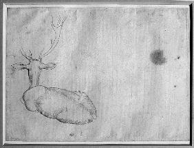 Resting stag, seen from behind, from the The Vallardi Album