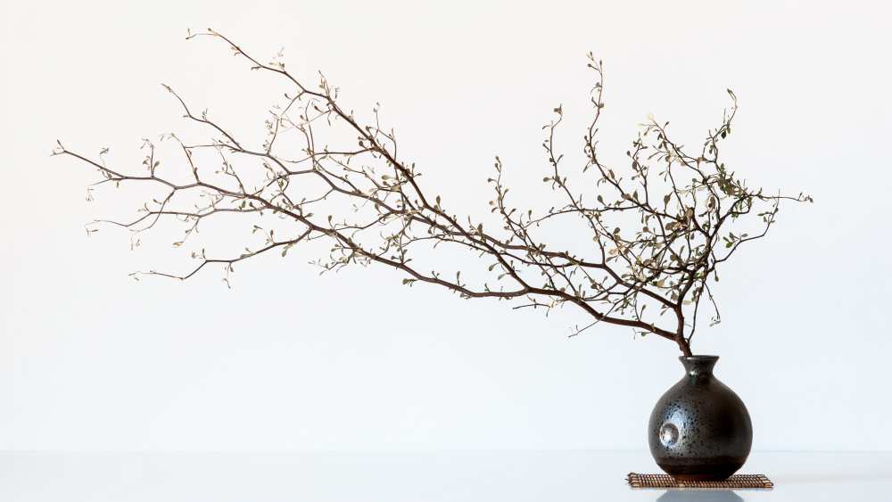 Vase And Branch from prbimages