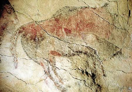 Bison from the Caves at Altamira from Prehistoric