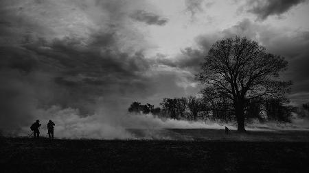 Controlled Fire Burn At Valley Forge Historic Park