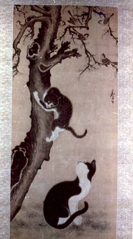 Cats from Pyon  Sang-Byok