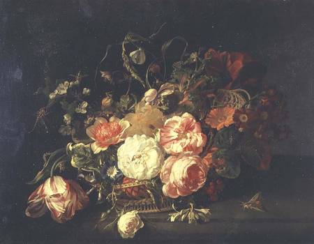Flowers and Insects from Rachel Ruysch