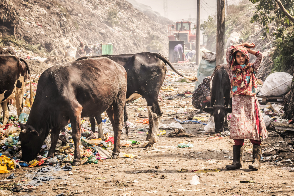 Cittagong garbage field from Radana Kucharova
