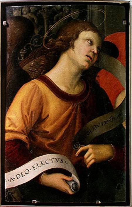 Angel, from the polyptych of St. Nicolas of Tolentino from Raffaello Sanzio da Urbino
