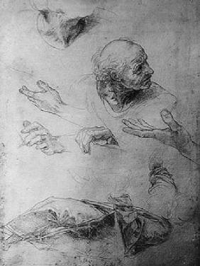 Studies for the Figure of Bramante (1444-1515)
