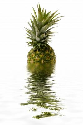 Pineapple from Rainer Junker