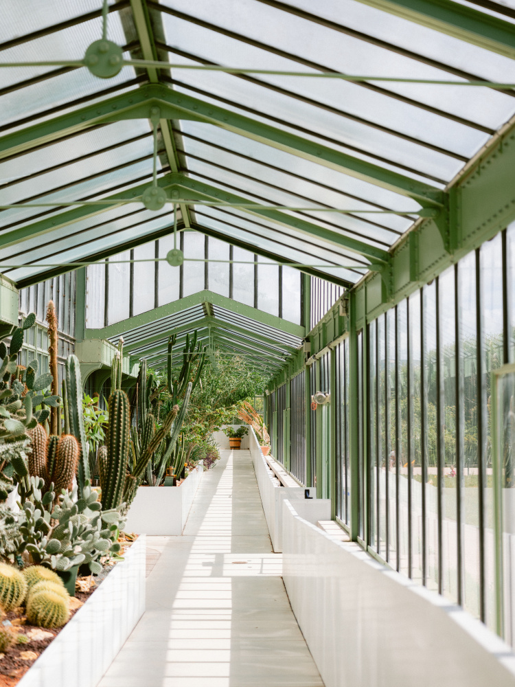 Botanical garden of Paris from Raisa Zwart