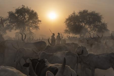 Sunset in Mundari cattle camp, South Sudan