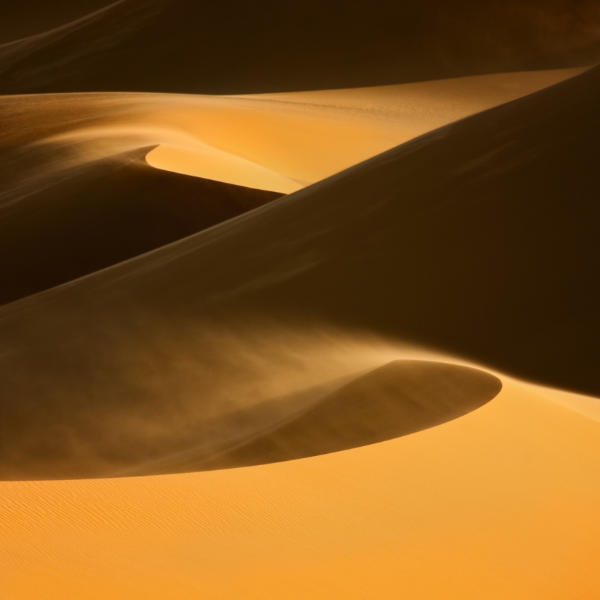 ... dunes from Raymond Hoffmann