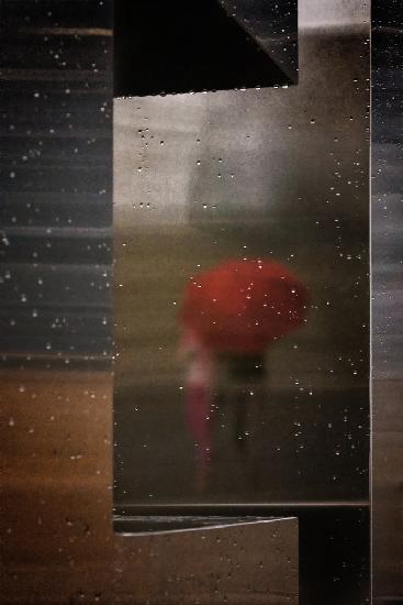 Rainy Reflection