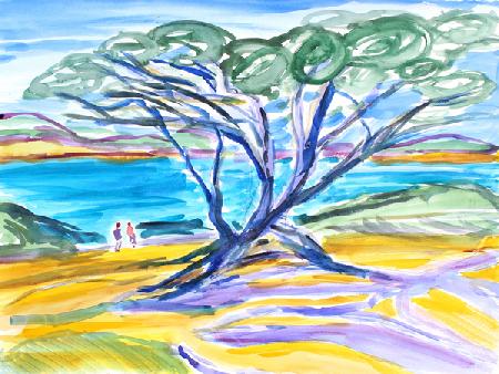 Cypress Tree, Carmel