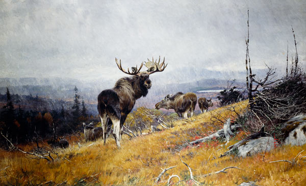 Elk pack from Richard Friese