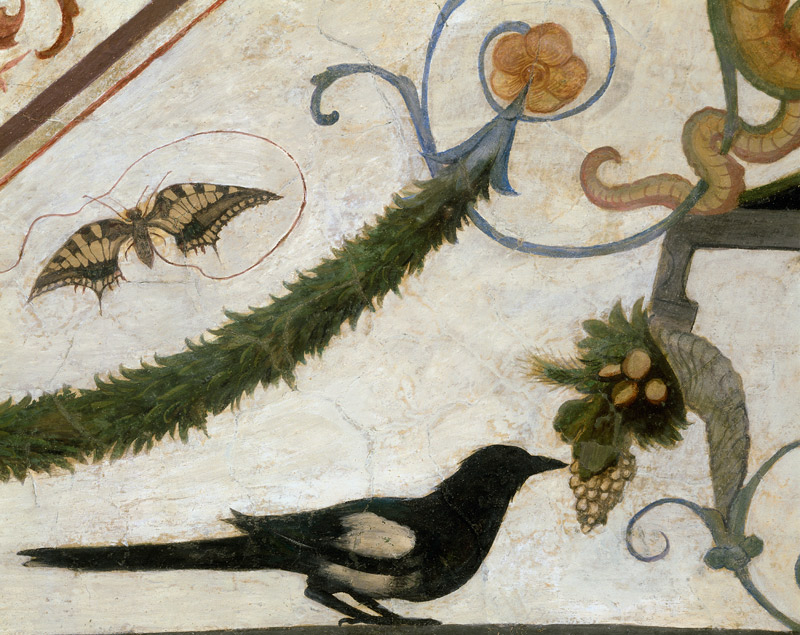Vogel und Schmetterling from Ridolfo Ghirlandaio
